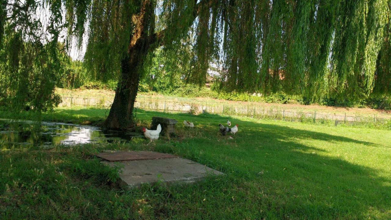 Agriturismo Cascina Poscallone Abbiategrasso Exterior foto